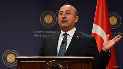 Совфед ответил на заявления МИД Турции об «аннексии Крыма»